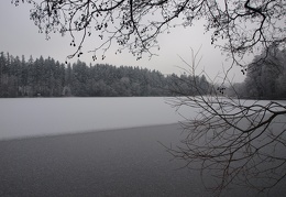P1253623